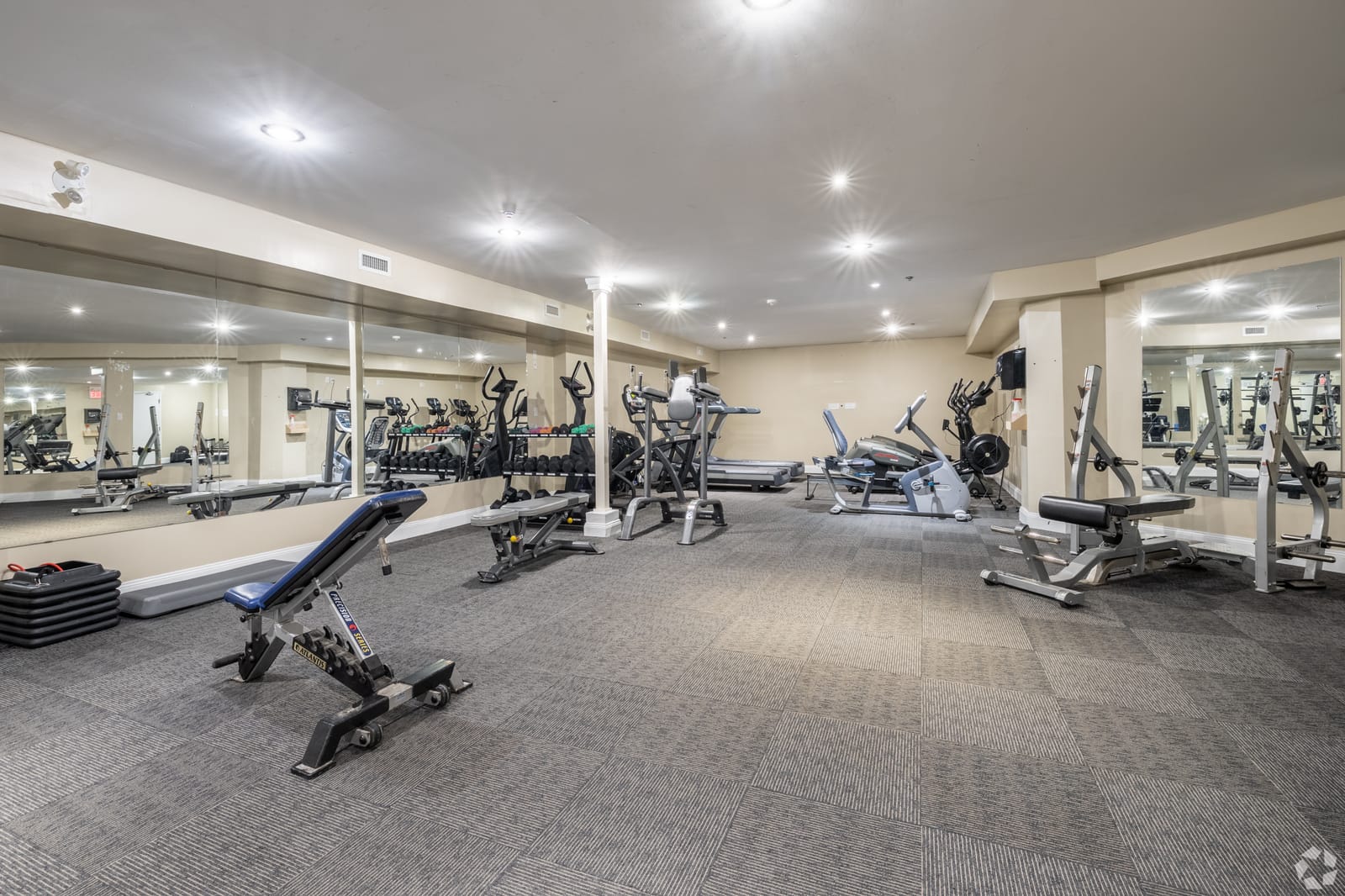 Fitness centre cardio and weight machines