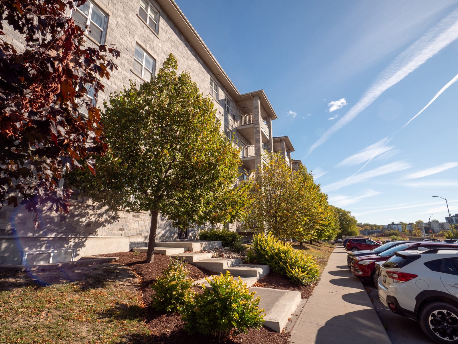 Landscaped walkway along the front of the building in autumn