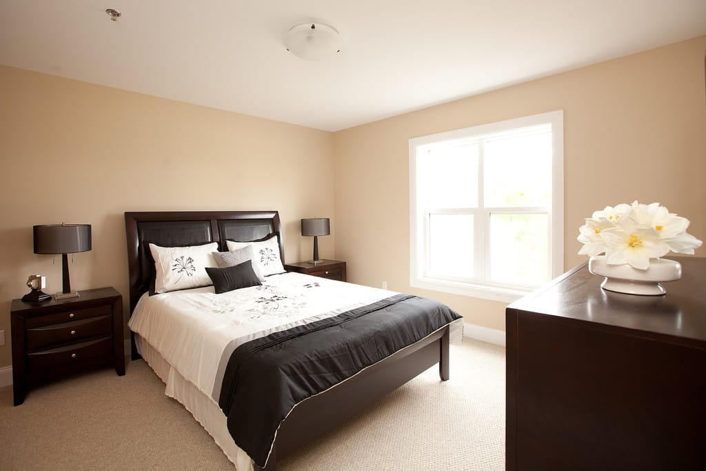 Furnished primary bedroom with a queen bed under the window
